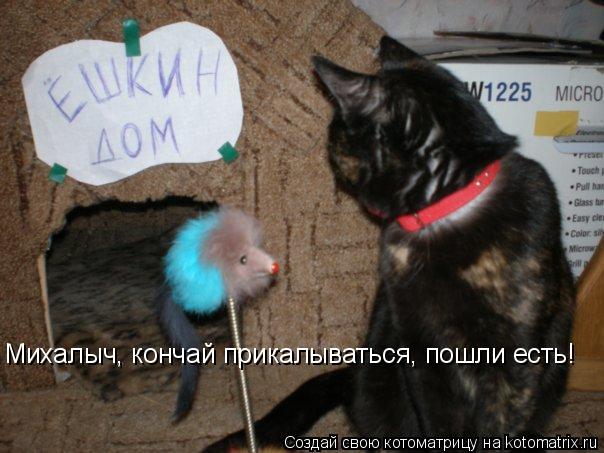 Михалыч, кончай прикалываться, пошли есть!... Котоматрица: Михалыч, кончай прикалываться, пошли есть!