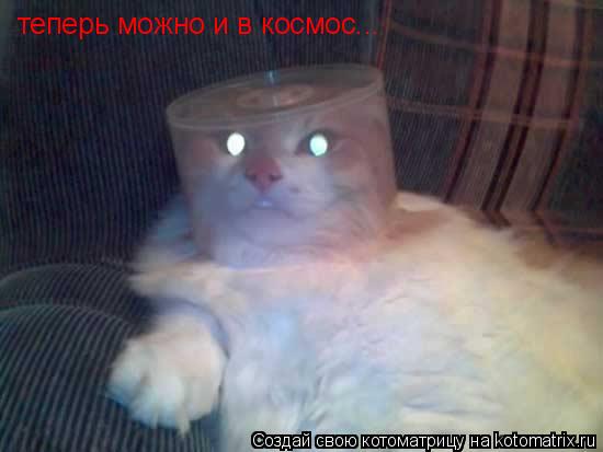 теперь можно и в космос...... Котоматрица: теперь можно и в космос...