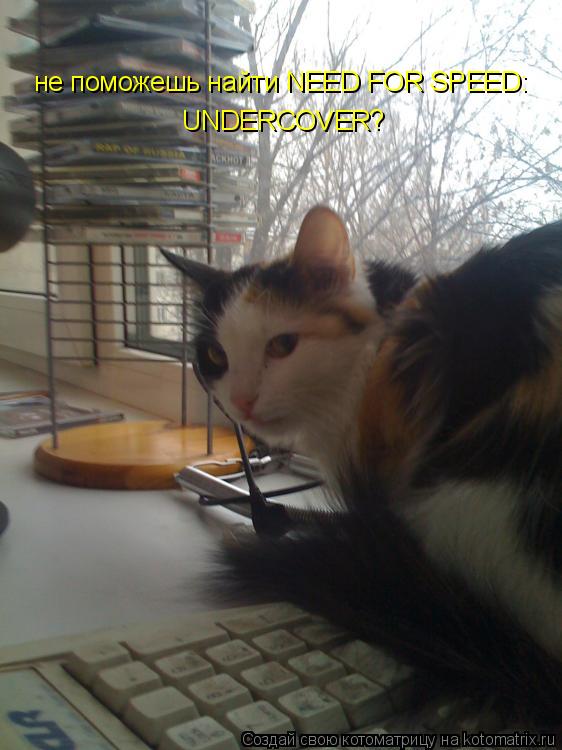 не поможешь найти NEED FOR SPEED: UNDERCOVER ?... Котоматрица: не поможешь найти NEED FOR SPEED: UNDERCOVER ?