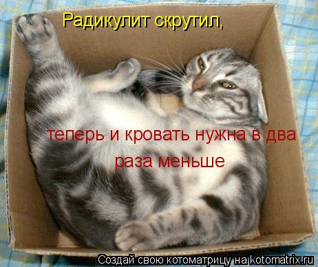 Радикулит скрутил, теперь и кровать нужна в два раза меньше... Котоматрица: Радикулит скрутил, теперь и кровать нужна в два раза меньше