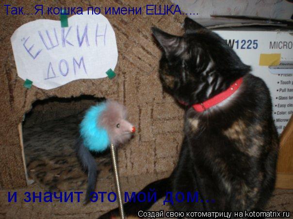 Так...Я кошка по имени ЕШКА..... и значит это мой дом...... Котоматрица: Так...Я кошка по имени ЕШКА..... и значит это мой дом...