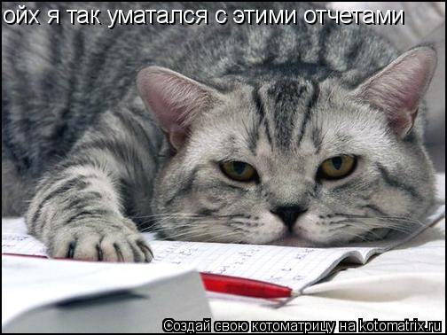 ойх я так уматался с этими отчетами... Котоматрица: ойх я так уматался с этими отчетами