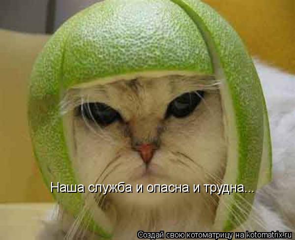 Наша служба и опасна и трудна...... Котоматрица: Наша служба и опасна и трудна...