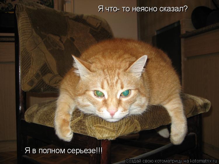 Я что- то неясно сказал? Я в полном серьезе!!!... Котоматрица: Я что- то неясно сказал? Я в полном серьезе!!!
