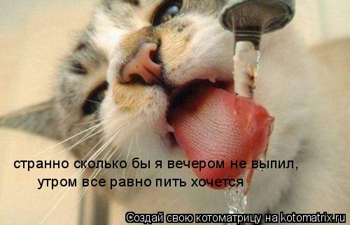 ну сколько бы я вечером не выпил странно сколько бы я вечером не выпил, утром все равно пить хочется... Котоматрица: ну сколько бы я вечером не выпил странно сколько бы я вечером не выпил, утром все равно пить хочется