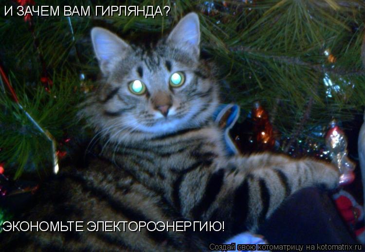 И ЗАЧЕМ ВАМ ГИРЛЯНДА? ЭКОНОМЬТЕ ЭЛЕКТОРОЭНЕРГИЮ!... Котоматрица: И ЗАЧЕМ ВАМ ГИРЛЯНДА? ЭКОНОМЬТЕ ЭЛЕКТОРОЭНЕРГИЮ!