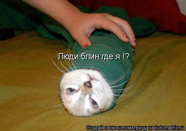 Люди блин где я !?... Котоматрица: Люди блин где я !?