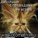 да больше с провадами не играю... Котоматрица: да больше с провадами не играю
