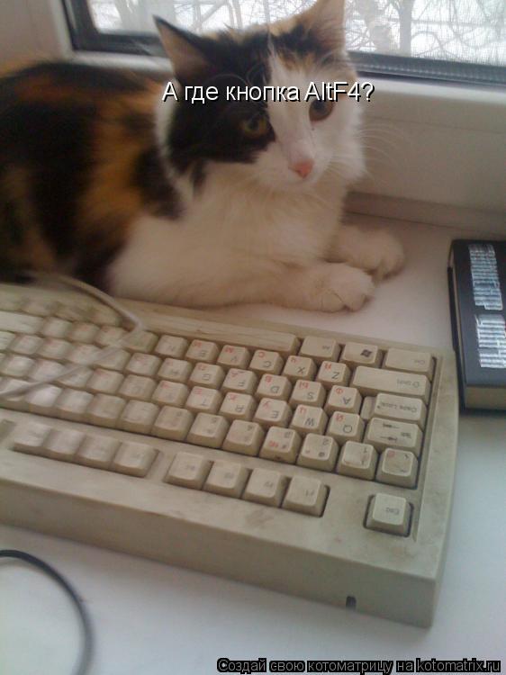 А где кнопка AltF4?... Котоматрица: А где кнопка AltF4?