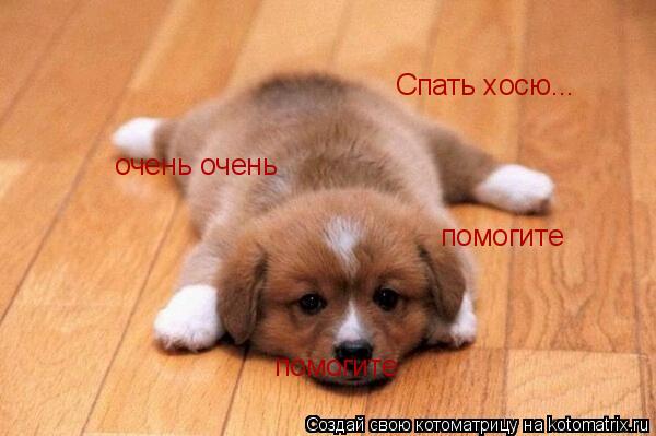 Спать хосю... очень очень помогите помогите... Котоматрица: Спать хосю... очень очень помогите помогите