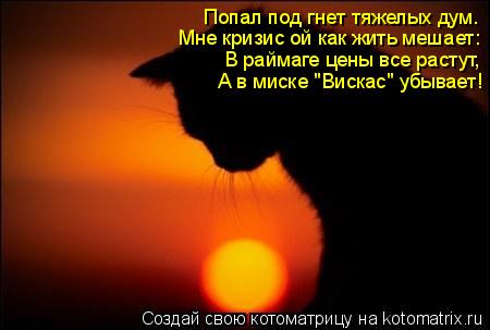 Котоматрица: Попал под гнет тяжелых дум. Мне кризис ой как жить мешает: В раймаге цены все растут, А в миске "Вискас" убывает!