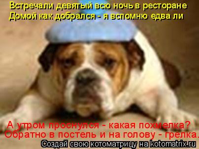 Встречали девятый всю ночь в ресторане Домой как добрался - я вспомню едва ли А утром проснулся - как... Котоматрица: Встречали девятый всю ночь в ресторане Домой как добрался - я вспомню едва ли А утром проснулся - какая похмелка? Обратно в постель и на голо
