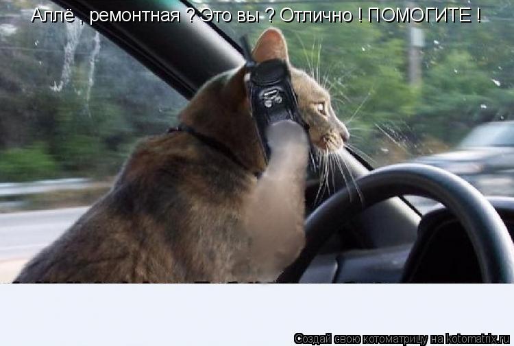 Аллё , ремонтная ? Это вы ? Отлично ! ПОМОГИТЕ !... Котоматрица: Аллё , ремонтная ? Это вы ? Отлично ! ПОМОГИТЕ !