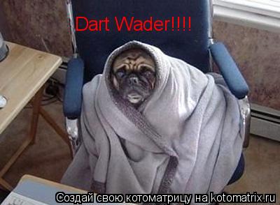 Dart Wader!!!!... Котоматрица: Dart Wader!!!!