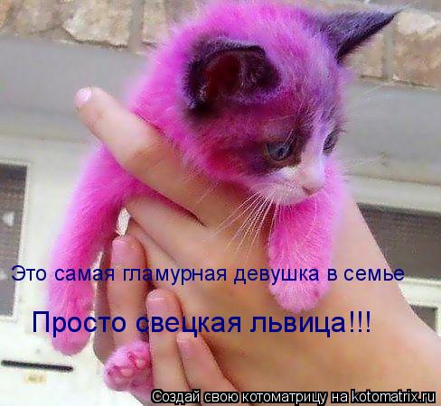 Это самая гламурная девушка в семье Просто свецкая львица!!!... Котоматрица: Это самая гламурная девушка в семье Просто свецкая львица!!!
