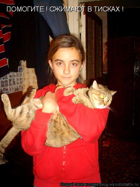 ПОМОГИТЕ ! СЖИМАЮТ В ТИСКАХ !... Котоматрица: ПОМОГИТЕ ! СЖИМАЮТ В ТИСКАХ !