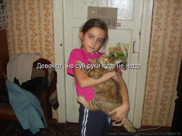 Девочка , не суй руки куда не надо... Котоматрица: Девочка , не суй руки куда не надо