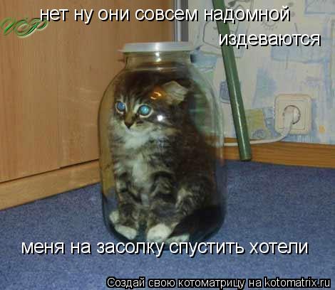 нет ну они совсем надомной издеваются меня на засолку спустить хотели... Котоматрица: нет ну они совсем надомной издеваются меня на засолку спустить хотели