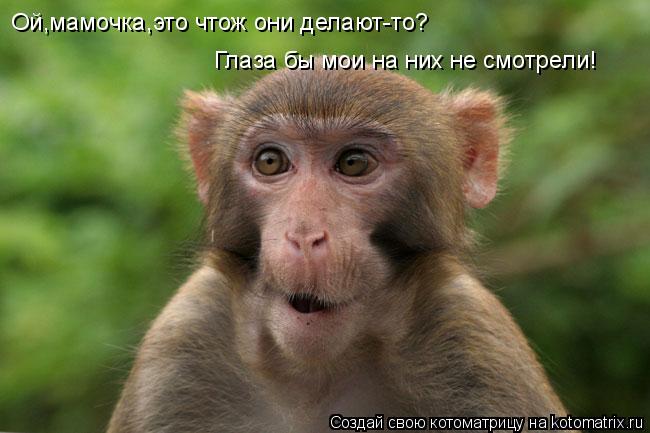 Глаза бы мои на них не смотрели! Ой,мамочка,это чтож они делают-то?... Котоматрица: Глаза бы мои на них не смотрели! Ой,мамочка,это чтож они делают-то?