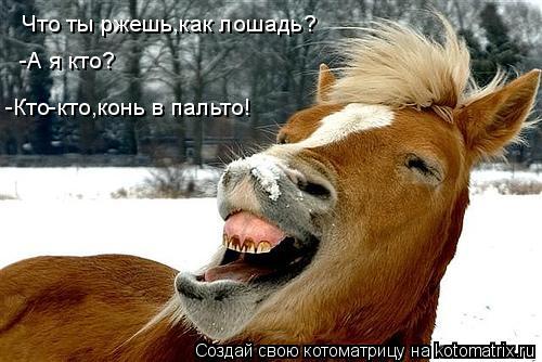 Что ты ржешь,как лошадь? -А я кто? -Кто-кто,конь в пальто!... Котоматрица: Что ты ржешь,как лошадь? -А я кто? -Кто-кто,конь в пальто!