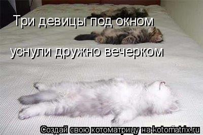 Три девицы под окном уснули дружно вечерком... Котоматрица: Три девицы под окном уснули дружно вечерком