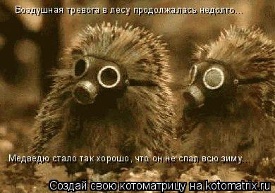 Воздушная тревога в лесу продолжалась недолго... Медведю стало так хорошо, что он не спал всю зиму...... Котоматрица: Воздушная тревога в лесу продолжалась недолго... Медведю стало так хорошо, что он не спал всю зиму...