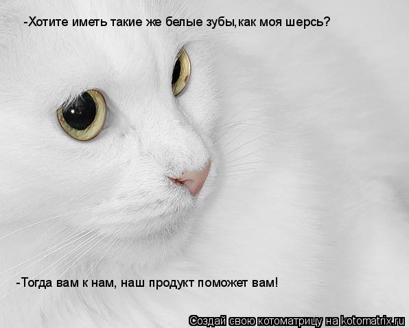 Котоматрица: -Хотите иметь такие же белые зубы,как моя шерсь? -Тогда вам к нам, наш продукт поможет вам!