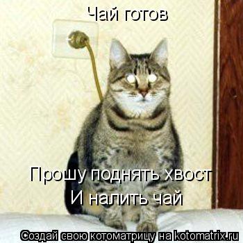 Чай готов Прошу поднять хвост И налить чай... Котоматрица: Чай готов Прошу поднять хвост И налить чай