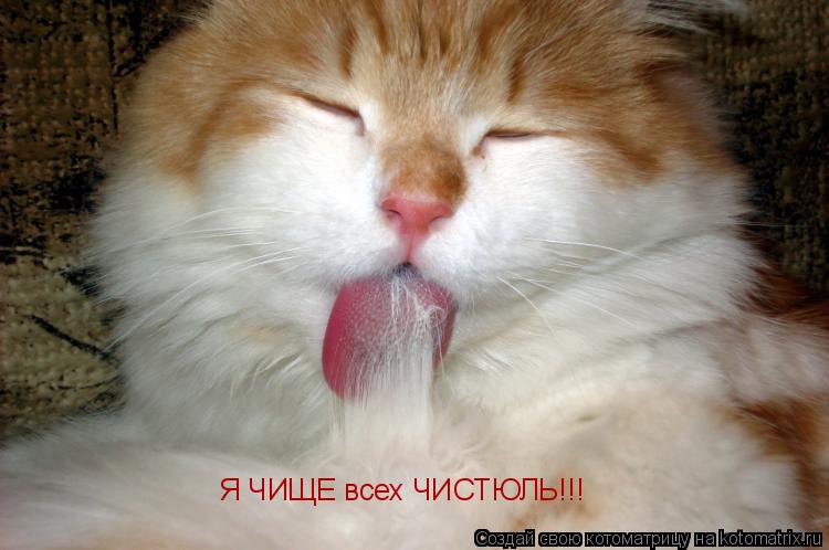 Я ЧИЩЕ всех ЧИСТЮЛЬ!!!... Котоматрица: Я ЧИЩЕ всех ЧИСТЮЛЬ!!!