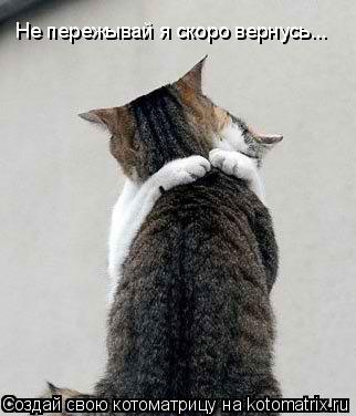 Не пережывай я скоро вернусь...... Котоматрица: Не пережывай я скоро вернусь...
