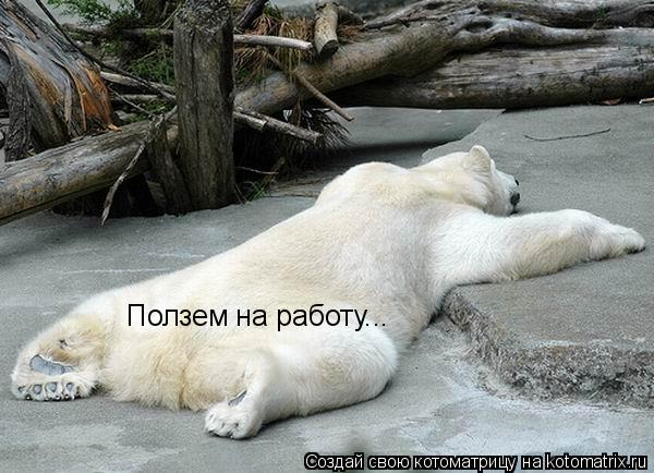 Ползем на работу...... Котоматрица: Ползем на работу...