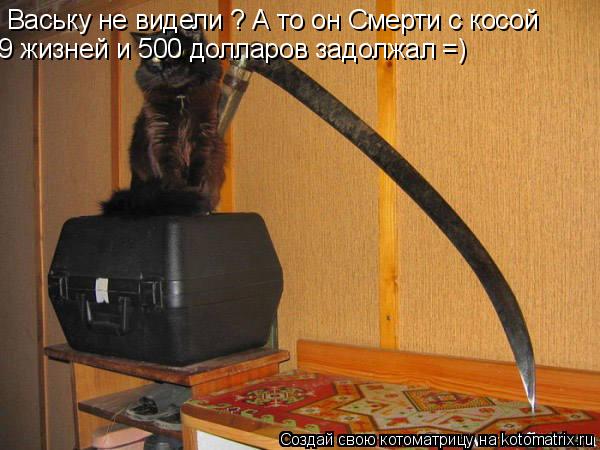 Ваську не видели ? А то он Смерти с косой 9 жизней и 500 долларов задолжал =)... Котоматрица: Ваську не видели ? А то он Смерти с косой 9 жизней и 500 долларов задолжал =)