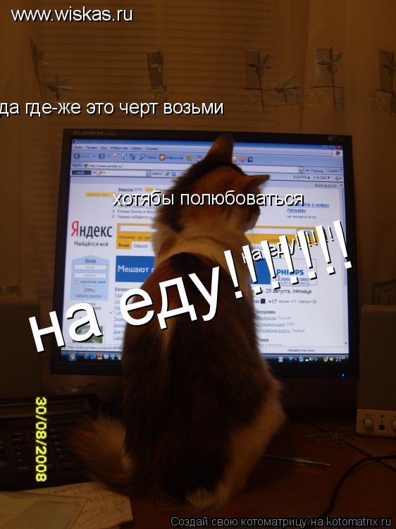 www.wiskas.ru да где-же это черт возьми хотябы полюбоваться на еду!!!!!!! на еду!!!!!!!... Котоматрица: www.wiskas.ru да где-же это черт возьми хотябы полюбоваться на еду!!!!!!! на еду!!!!!!!