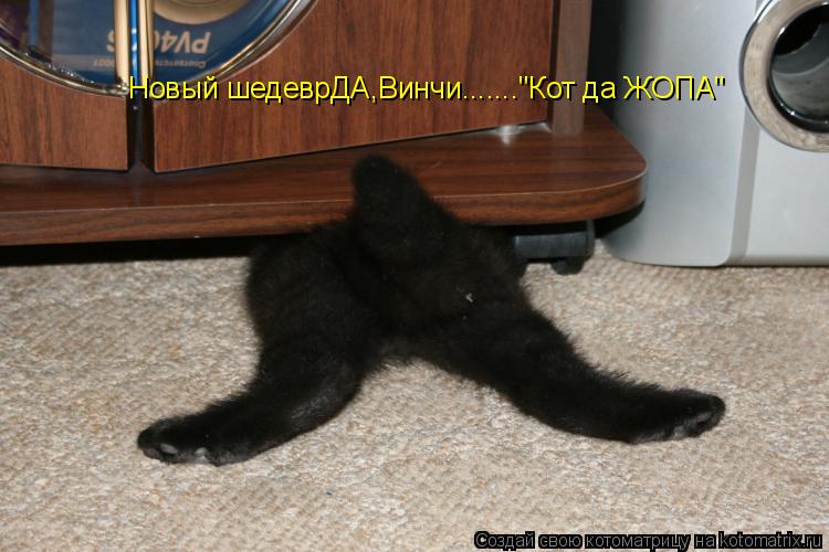Новый шедеврДА,Винчи......."Кот да ЖОПА"... Котоматрица: Новый шедеврДА,Винчи......."Кот да ЖОПА"