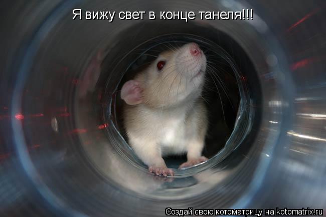 Я вижу свет в конце танеля!!!... Котоматрица: Я вижу свет в конце танеля!!!