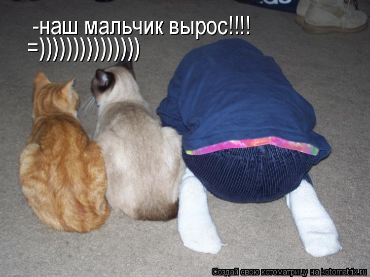-наш мальчик вырос!!!! =)))))))))))))))... Котоматрица: -наш мальчик вырос!!!! =)))))))))))))))