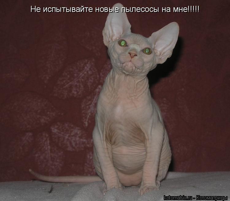 Не испытывайте новые пылесосы на мне!!!!!... Котоматрица: Не испытывайте новые пылесосы на мне!!!!!