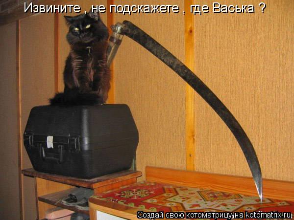Извините , не подскажете , где Васька ?... Котоматрица: Извините , не подскажете , где Васька ?