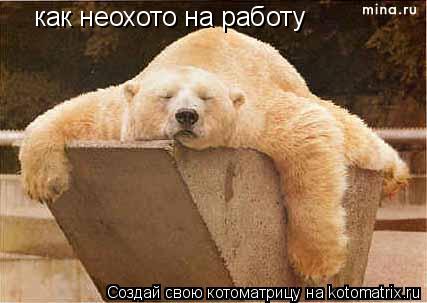 как неохото на работу... Котоматрица: как неохото на работу