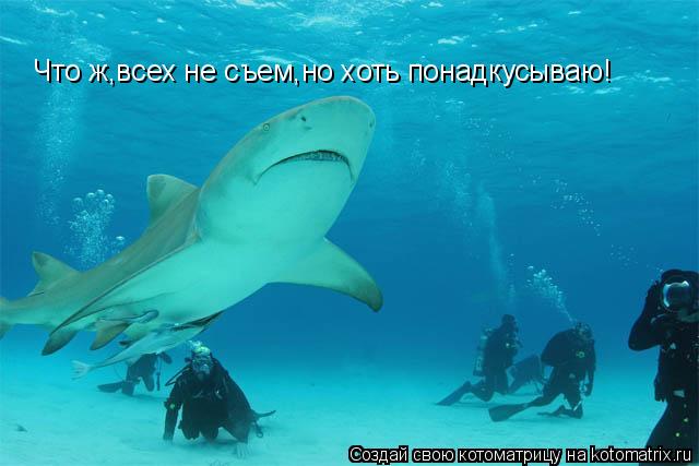 Что ж,всех не съем,но хоть понадкусываю!... Котоматрица: Что ж,всех не съем,но хоть понадкусываю!