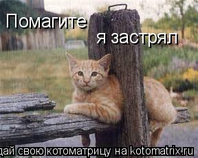 Помагите я застрял... Котоматрица: Помагите я застрял