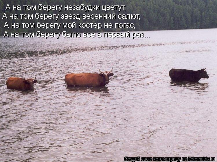 А на том берегу незабудки цветут, А на том берегу звезд весенний салют, А на том берегу мой костер ... Котоматрица: А на том берегу незабудки цветут, А на том берегу звезд весенний салют, А на том берегу мой костер не погас, А на том берегу было все в первы