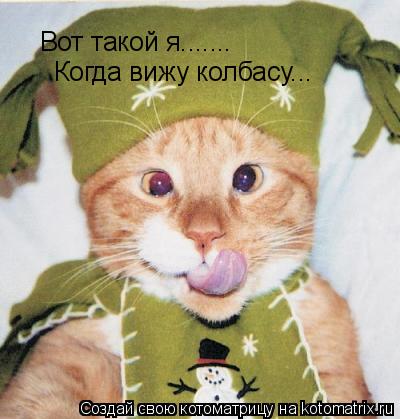 Вот такой я....... Когда вижу колбасу...... Котоматрица: Вот такой я....... Когда вижу колбасу...