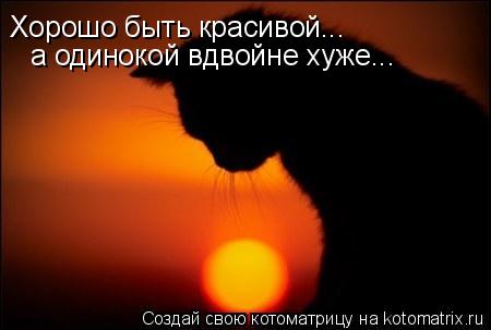 Котоматрица: Хорошо быть красивой... Хорошо быть красивой... а одинокой вдвойне хуже...