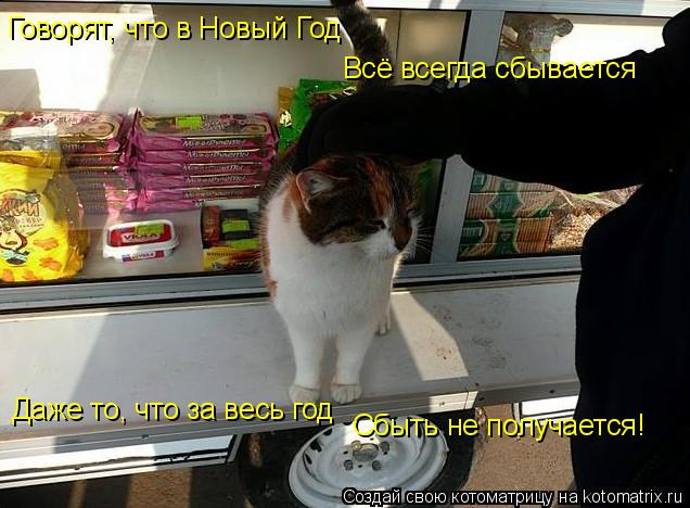 Говорят, что в Новый Год Всё всегда сбывается Даже то, что за весь год Сбыть не получается!... Котоматрица: Говорят, что в Новый Год Всё всегда сбывается Даже то, что за весь год Сбыть не получается!