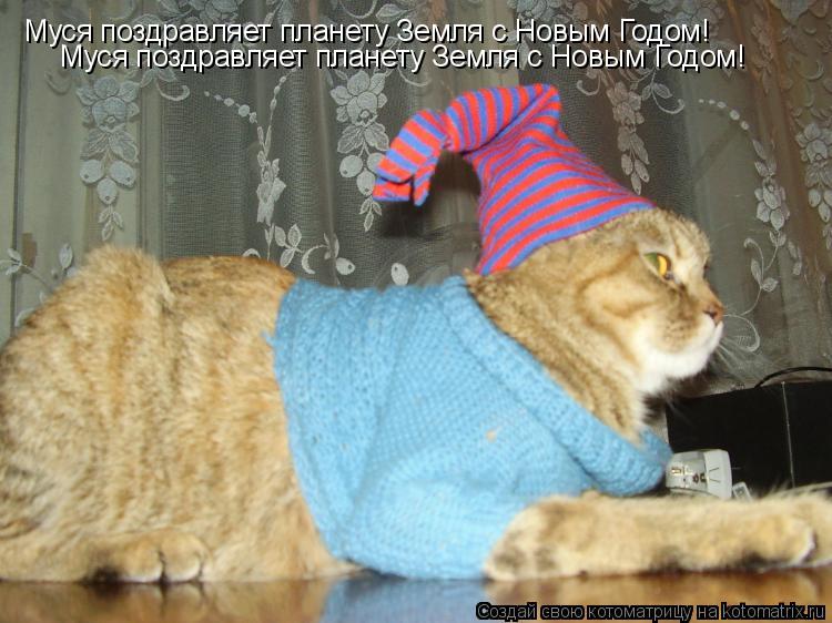 Котоматрица: Муся поздравляет планету Земля с Новым Годом! Муся поздравляет планету Земля с Новым Годом!