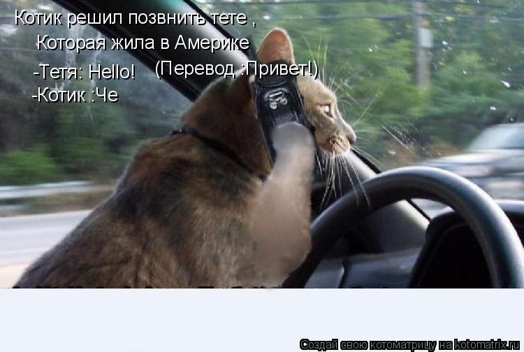 Котик решил позвнить тете , Которая жила в Америке -Тетя: Hello! -Котик :Че (Перевод :Привет!)... Котоматрица: Котик решил позвнить тете , Которая жила в Америке -Тетя: Hello! -Котик :Че (Перевод :Привет!)