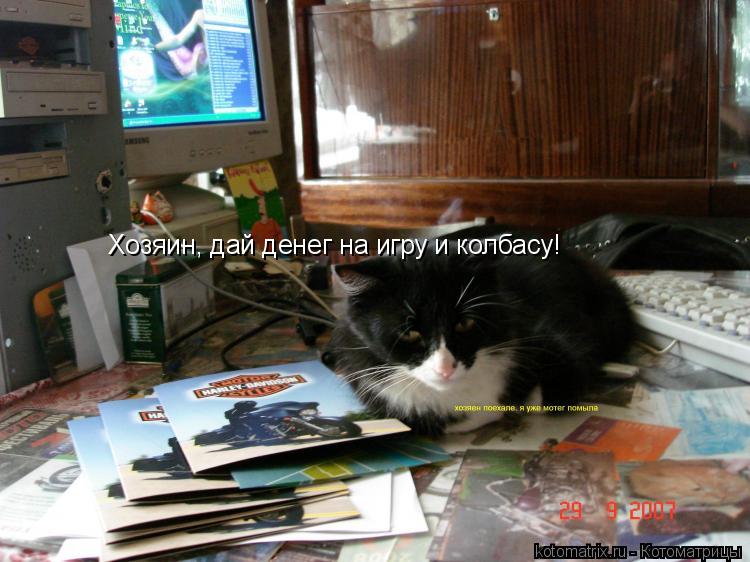 Хозяин, дай денег на игру и колбасу!... Котоматрица: Хозяин, дай денег на игру и колбасу!