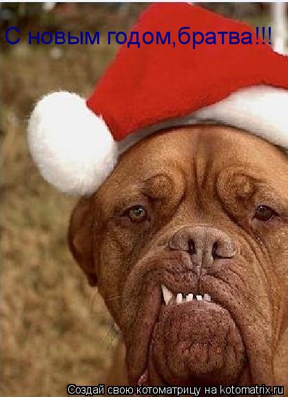 С новым годом,братва!!!... Котоматрица: С новым годом,братва!!!