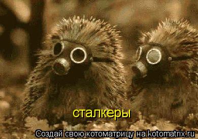 сталкеры... Котоматрица: сталкеры